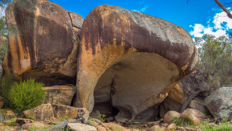 Guided Tours – Wave Rock Information and Visitor Centre